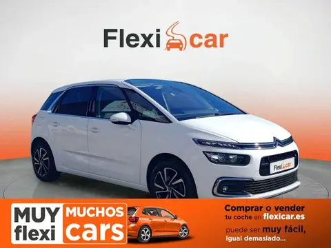 Used CITROEN C4 Petrol 2019 Ad 