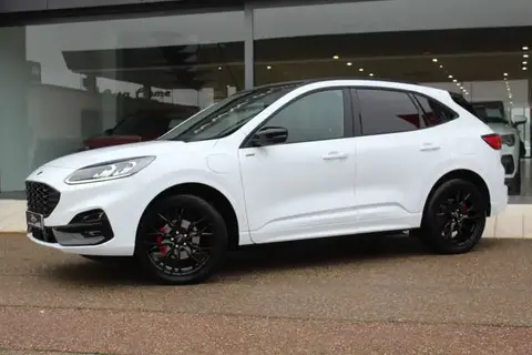 Used FORD KUGA Hybrid 2023 Ad 