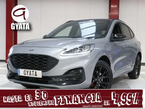 Used FORD KUGA Hybrid 2023 Ad 