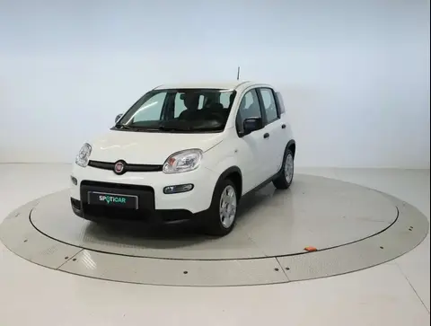 Annonce FIAT PANDA  2024 d'occasion 