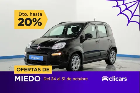 Annonce FIAT PANDA Essence 2023 d'occasion 