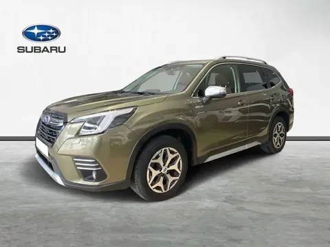 Annonce SUBARU FORESTER Hybride 2023 d'occasion 