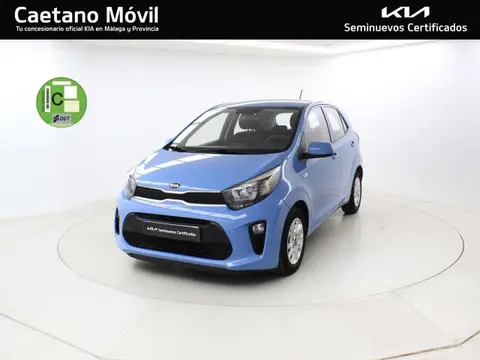 Annonce KIA PICANTO Essence 2019 d'occasion 