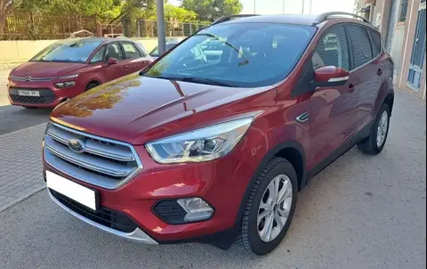 Used FORD KUGA Diesel 2019 Ad 