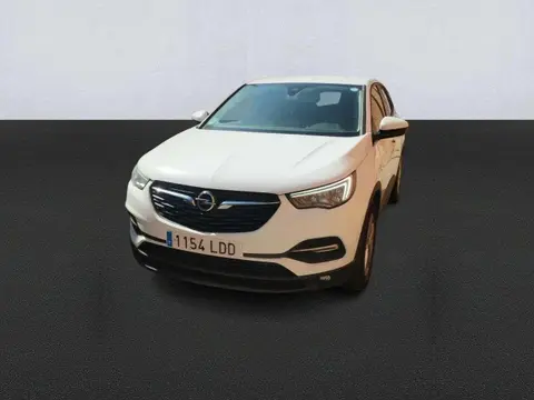 Used OPEL GRANDLAND Diesel 2019 Ad 