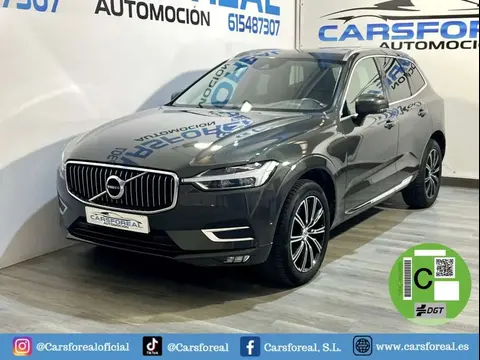 Used VOLVO XC60 Diesel 2019 Ad 