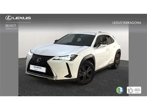 Used LEXUS UX Hybrid 2019 Ad 