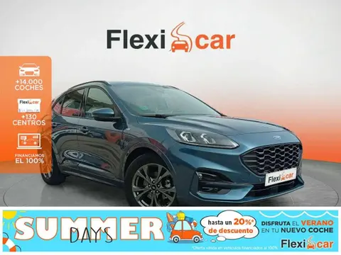 Used FORD KUGA Diesel 2022 Ad 