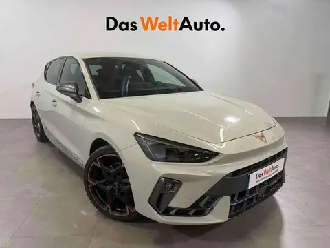 Used CUPRA LEON Petrol 2024 Ad 