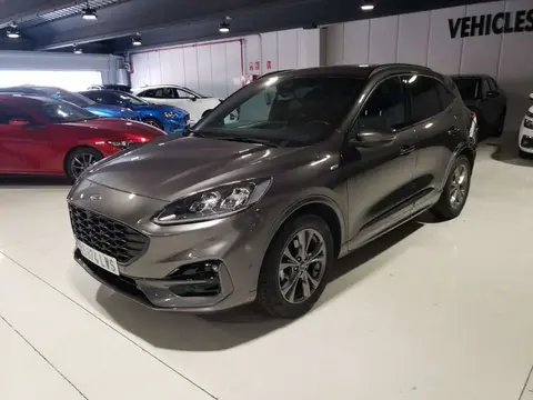 Annonce FORD KUGA Essence 2022 d'occasion 