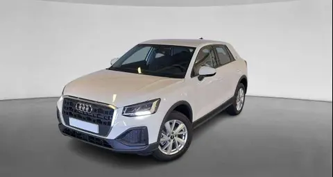 Annonce AUDI Q2 Essence 2024 d'occasion 