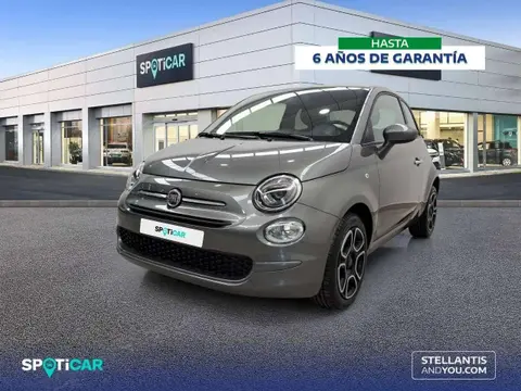 Used FIAT 500 Petrol 2023 Ad 