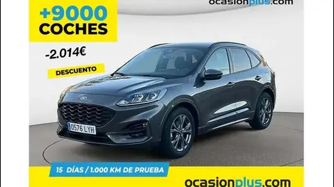 Annonce FORD KUGA Essence 2022 d'occasion 