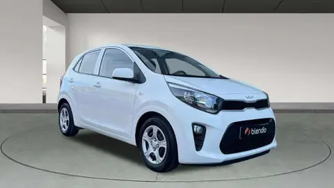 Used KIA PICANTO Petrol 2023 Ad 