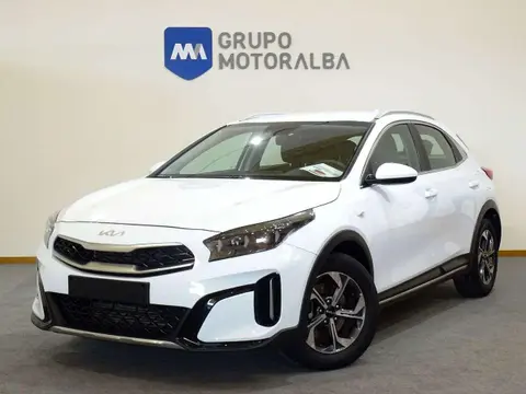 Used KIA XCEED Petrol 2024 Ad 