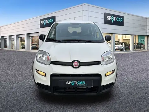 Annonce FIAT PANDA Essence 2023 d'occasion 