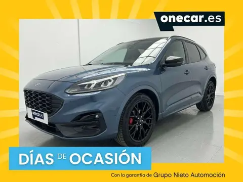 Annonce FORD KUGA Essence 2023 d'occasion 