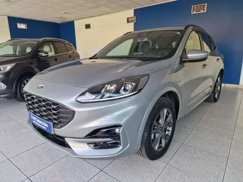 Annonce FORD KUGA Hybride 2023 d'occasion 