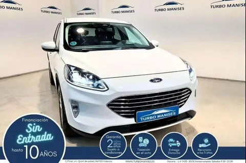 Used FORD KUGA Diesel 2023 Ad 