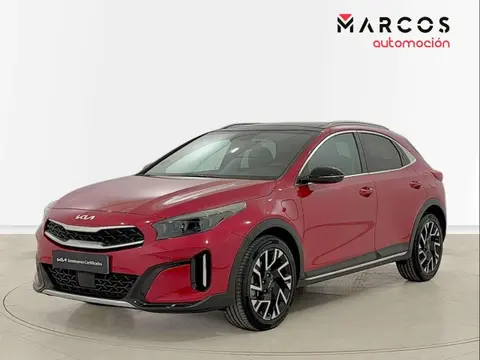 Annonce KIA XCEED  2023 d'occasion 