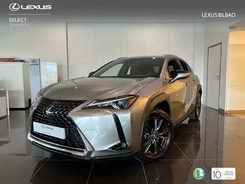 Used LEXUS UX  2023 Ad 