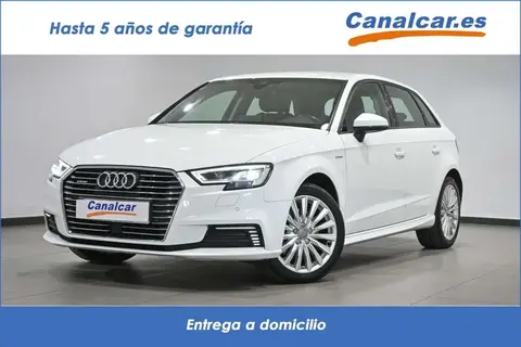 Used AUDI A3 Hybrid 2017 Ad 