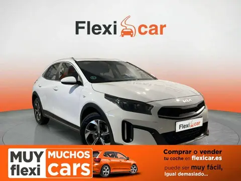 Used KIA XCEED Petrol 2022 Ad 