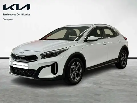 Used KIA XCEED Petrol 2023 Ad 