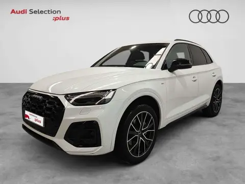 Used AUDI Q5 Diesel 2023 Ad 