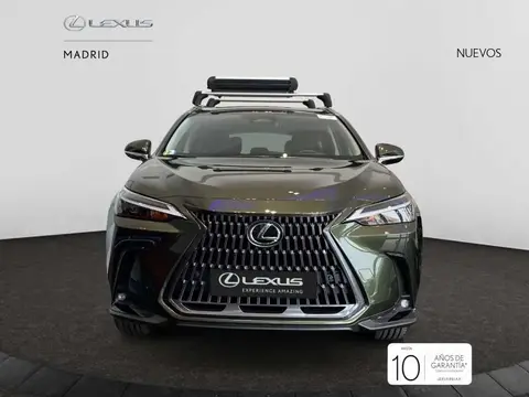 Used LEXUS NX Hybrid 2024 Ad 