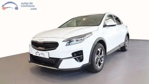 Annonce KIA XCEED Essence 2023 d'occasion 