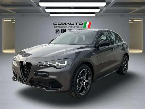 Annonce ALFA ROMEO STELVIO Diesel 2024 d'occasion 