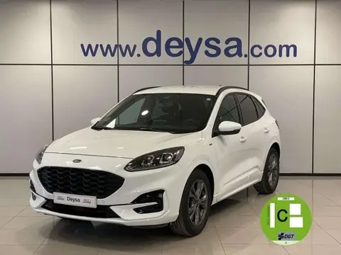 Used FORD KUGA Diesel 2022 Ad 