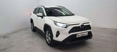 Used TOYOTA RAV4 Hybrid 2019 Ad 