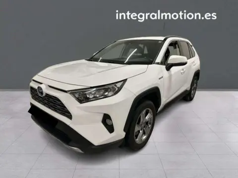 Used TOYOTA RAV4 Hybrid 2019 Ad 