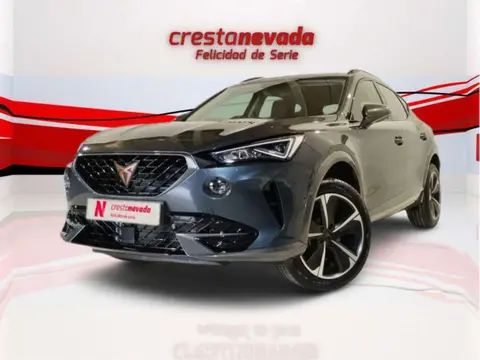 Annonce CUPRA FORMENTOR Essence 2024 d'occasion 