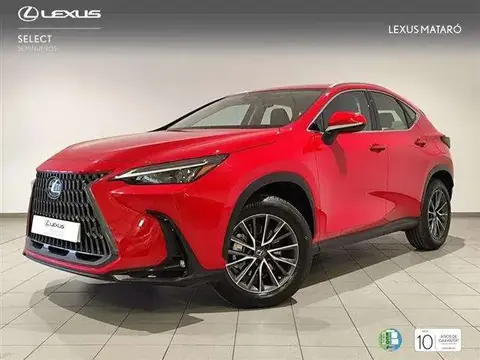 Used LEXUS NX Hybrid 2023 Ad 