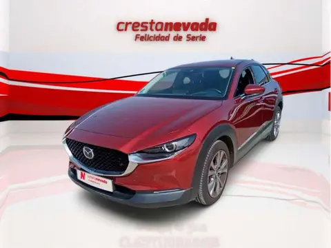 Annonce MAZDA CX-30 Essence 2020 d'occasion 