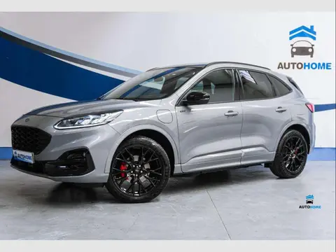 Annonce FORD KUGA  2023 d'occasion 