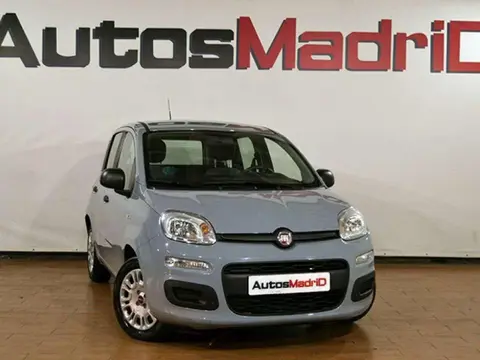 Used FIAT PANDA Hybrid 2022 Ad 