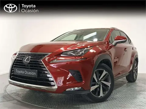 Annonce LEXUS NX Hybride 2019 d'occasion 