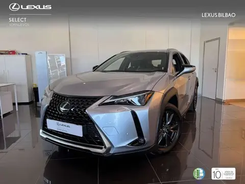 Annonce LEXUS UX Hybride 2023 d'occasion 