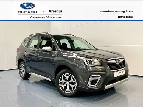 Annonce SUBARU FORESTER Hybride 2024 d'occasion 