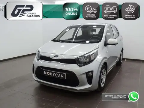 Annonce KIA PICANTO Essence 2021 d'occasion 