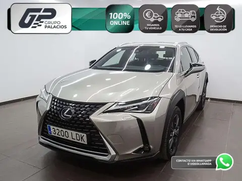 Used LEXUS UX Hybrid 2019 Ad 