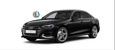 Annonce AUDI A4 Diesel 2024 d'occasion 