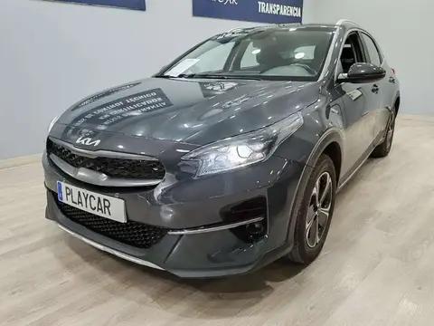 Annonce KIA XCEED Hybride 2021 d'occasion 