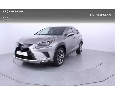 Annonce LEXUS NX Hybride 2020 d'occasion 