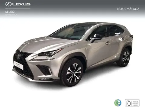 Used LEXUS NX Hybrid 2020 Ad 