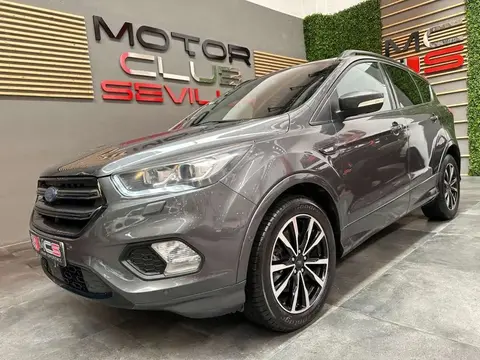 Used FORD KUGA Diesel 2018 Ad 